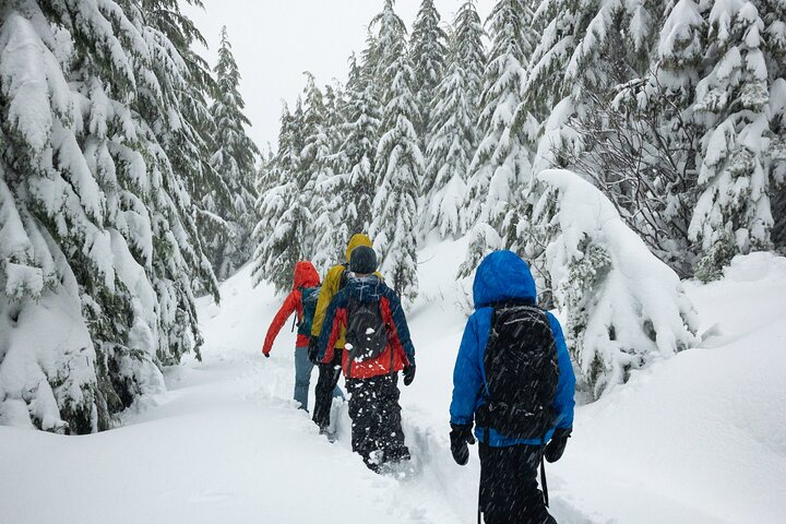 Private Snowshoeing Adventure from Badger Pass to Dewey Point - Photo 1 of 7